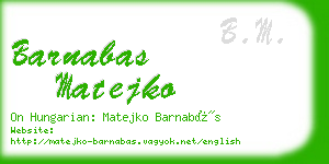 barnabas matejko business card